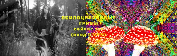 прущая мука Богданович